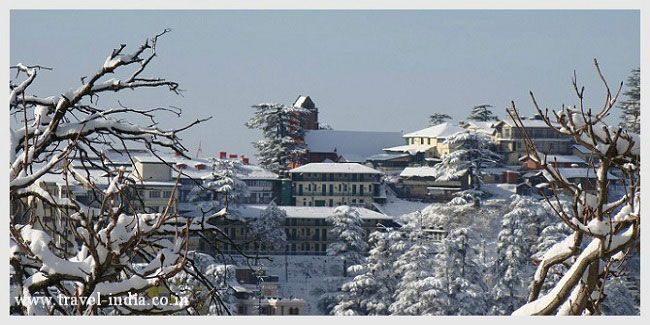 Snowy-Shimla.jpg